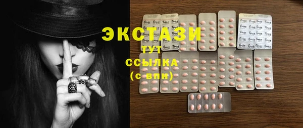 spice Аркадак