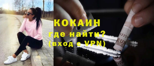 крисы Баксан