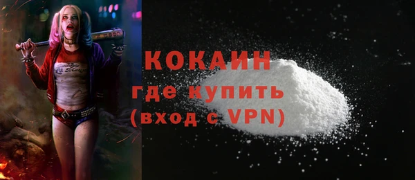 крисы Баксан