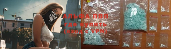 крисы Баксан