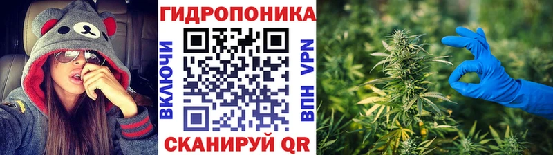 Бошки марихуана MAZAR  Белореченск 